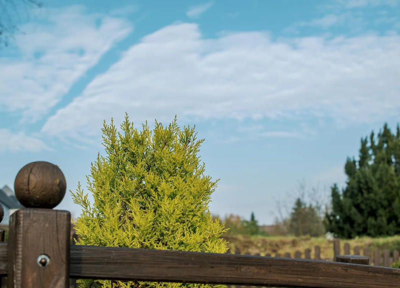 Suderwich-Ausblick-800 Seniorenzentrum Suderwich - Räumlichkeiten